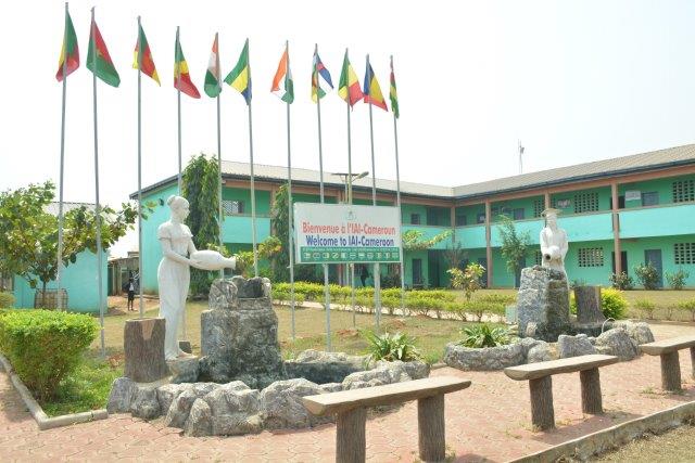 Institut Africain d'Informatique (IAI)