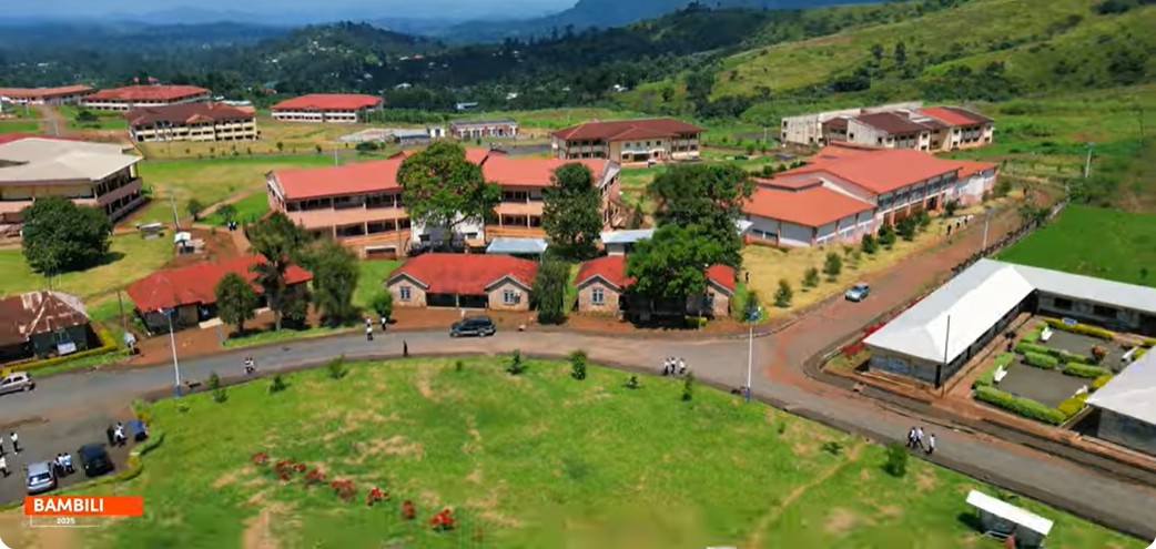 Université de Bamenda