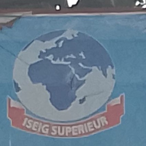 Institut des sciences Économiques et Informatiques de Gestion logo
