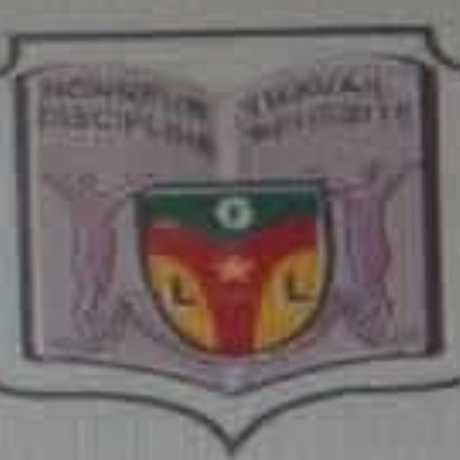 Lycée Général Leclerc logo