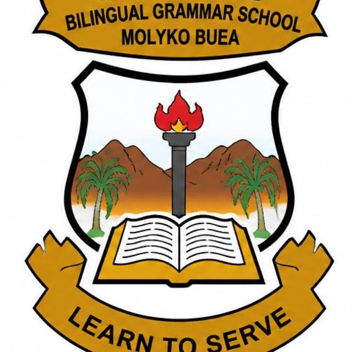 Bilingual Grammar School Molyko Buea (BGS Molyko) logo